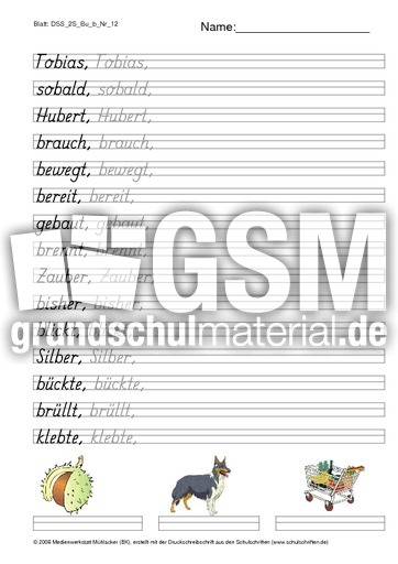 DSS_2S_Bu_b_Nr_12.pdf